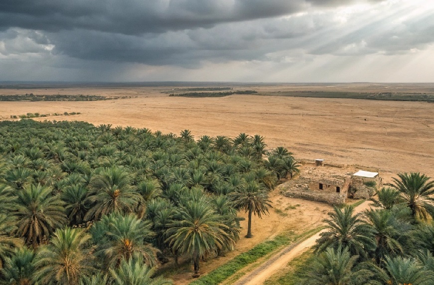 فدک