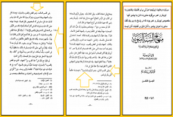 ابن‌‍تیمیه به دنبال فضیلت‌تراشی برای ابوبکر و عمر