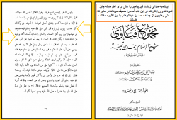 دیدگاه ابن‌تیمیه در مورد زیارت قبر پیامبر اکرم