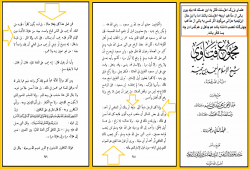 ابن‌تیمیه به دنبال کفر تمام پیروان مذاهب چهارگانه اهل‌سنت