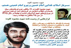 کاوه‌ی انقلاب، فدایی امام حسین، تربیت شده ولایت فقیه! , شهید محمود کاوه, کاوه, شهید کاوه, 