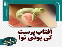 آفتاب پرست کی بودی تو!