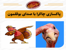 پاک سازی چاکرا با صدای بوقلمون