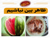 فریب ظاهر را نخوریم