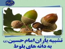 تشبیه یاران امام حسین (ع) به بلوط