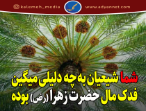 آیا فدک هدیه پیامبر (ص) به حضرت زهرا (س) بود؟