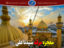 حرم امیرالمؤمنین (ع) از چه زمانی محل زیارت شد؟