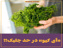 کشیش مسیحی جهالت را به حد اعلی رساند