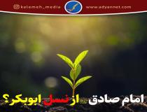 اگر ابوبکر انسان بدی بوده، چرا امام صادق (ع) از نسل اوست؟