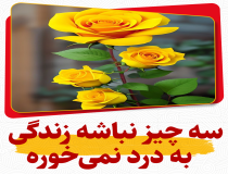 سه راز بزرگ زندگی ایده‌ آل