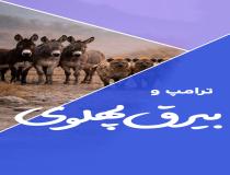 درخواست سلطنت طلبان برای حمله به ایران 
